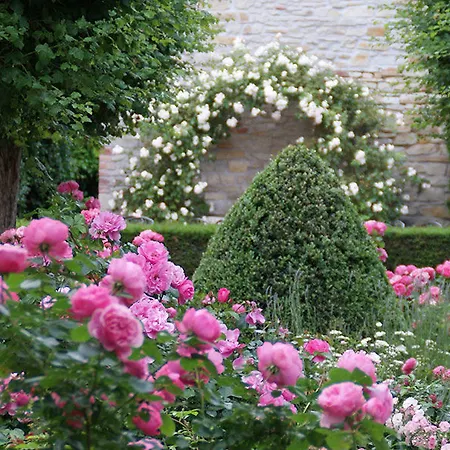 Schwarzer Adler Osterweddingen 3* Suelzetal