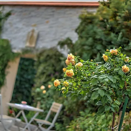 Schwarzer Adler Osterweddingen 3* Suelzetal