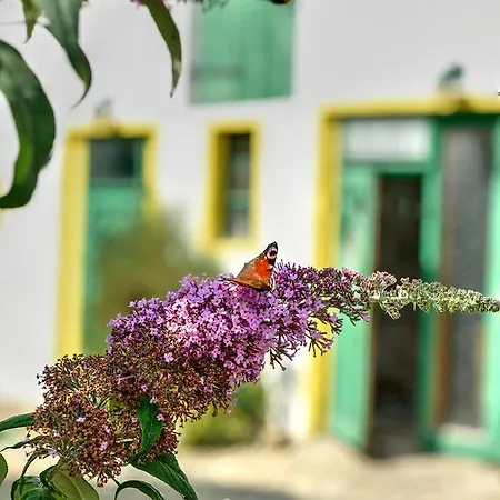 Hotel Schwarzer Adler