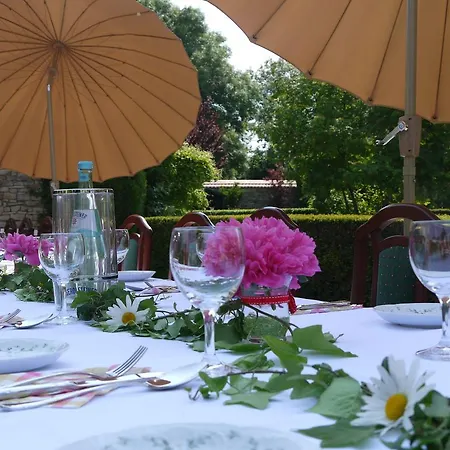 Schwarzer Adler Osterweddingen