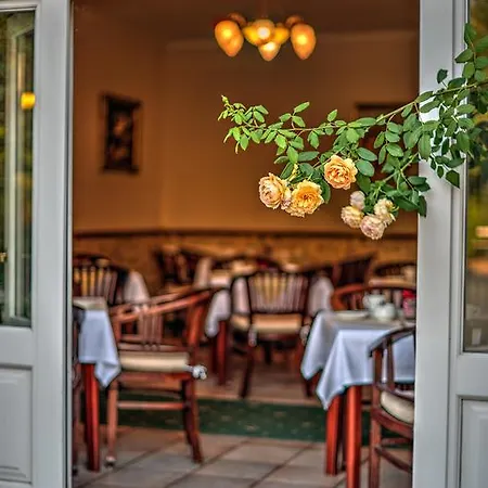 Schwarzer Adler Hotel Suelzetal