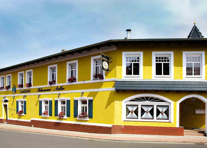 Schwarzer Adler Suelzetal