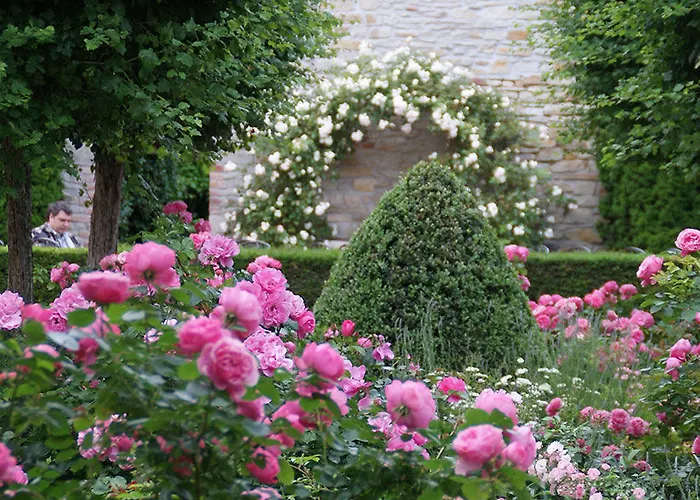 Schwarzer Adler 3* Suelzetal