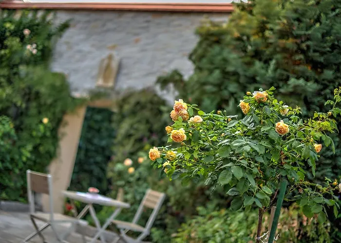 Schwarzer Adler 3* Suelzetal