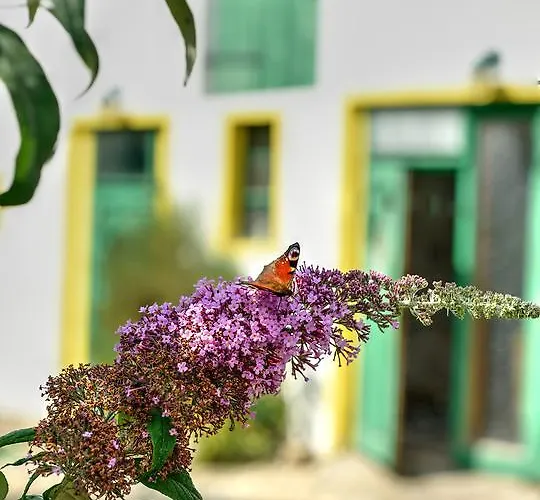 Hotell Schwarzer Adler